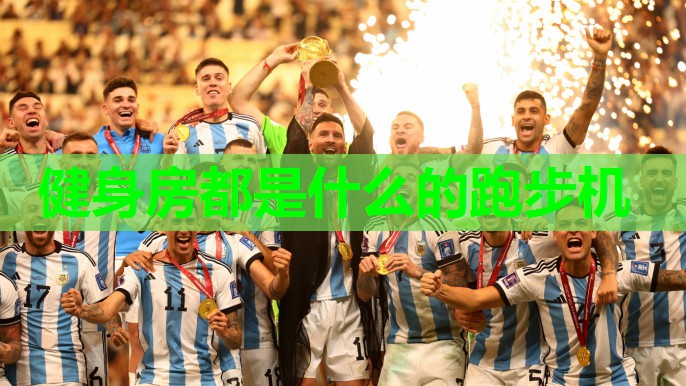健身房都是什么的跑步机 健身房都是什么的跑步机