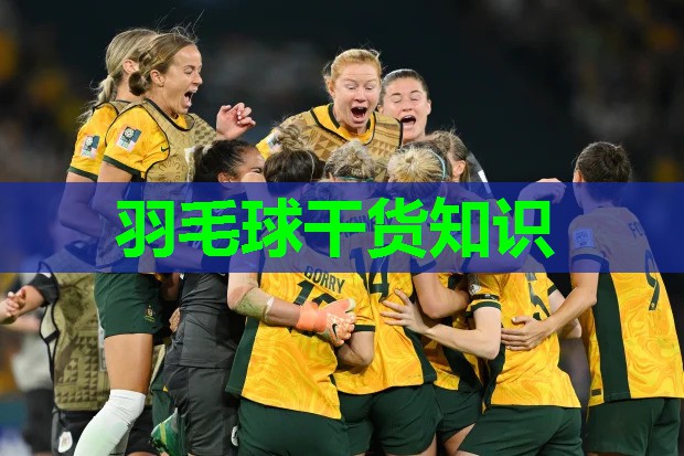 羽毛球干货知识 羽毛球干货知识