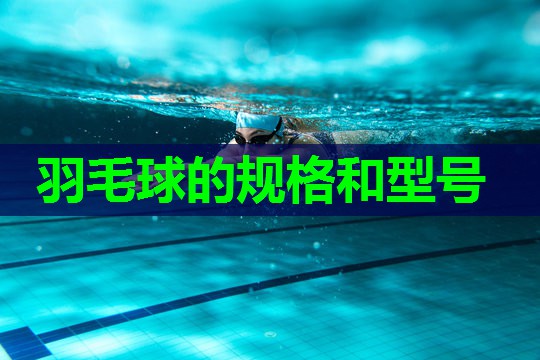 羽毛球的规格和型号 羽毛球的规格和型号