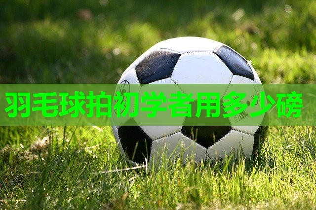 羽毛球拍初学者用多少磅 羽毛球拍初学者用多少磅