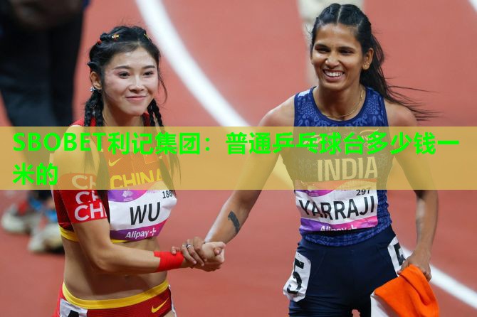 普通乒乓球台多少钱一米的 普通乒乓球台多少钱一米的