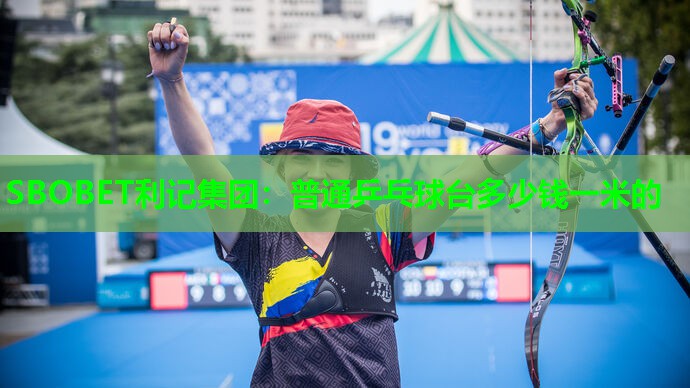 普通乒乓球台多少钱一米的 普通乒乓球台多少钱一米的