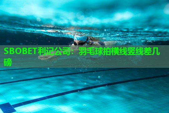 羽毛球拍横线竖线差几磅 羽毛球拍横线竖线差几磅