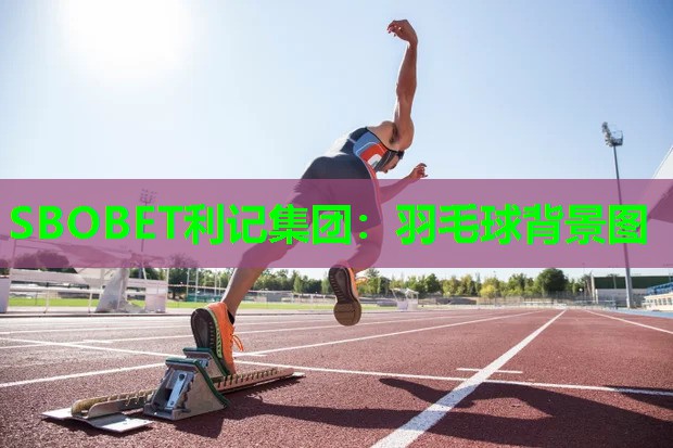 羽毛球背景图 羽毛球背景图