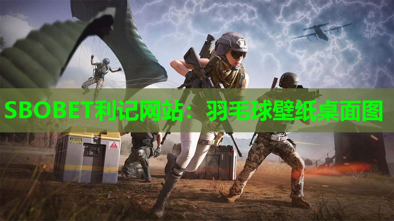 羽毛球壁纸桌面图 羽毛球壁纸桌面图