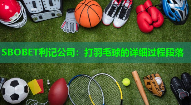 打羽毛球的详细过程段落 打羽毛球的详细过程段落
