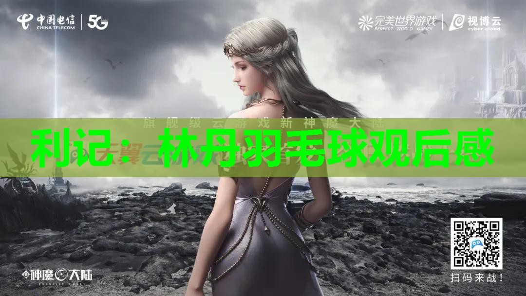 林丹羽毛球观后感 林丹羽毛球观后感
