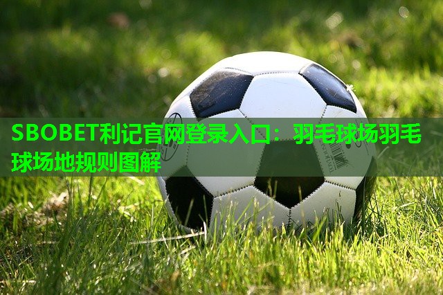 羽毛球场羽毛球场地规则图解 羽毛球场羽毛球场地规则图解