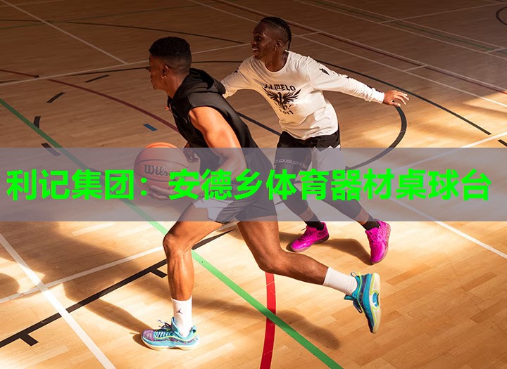 安德乡体育器材桌球台 安德乡体育器材桌球台